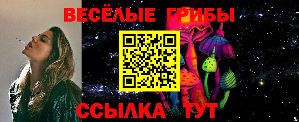 Галлюциногенные грибы MAGIC MUSHROOMS  Вход с VPN  Чебаркуль 